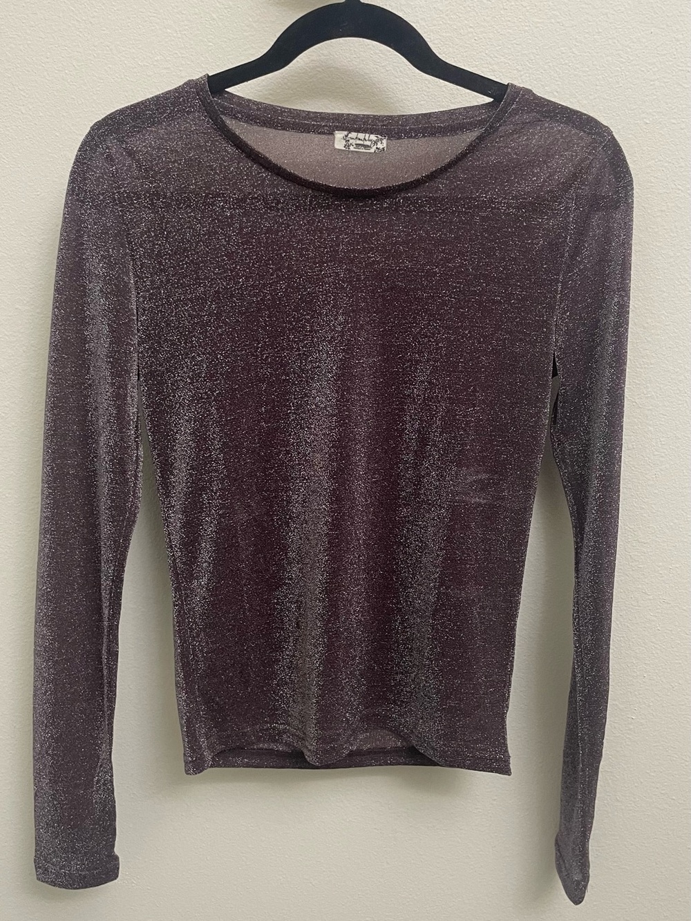 Intimately by Free People Purple Sparkle Long Sleeve Sheer Top